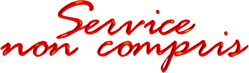 Service non compris logo