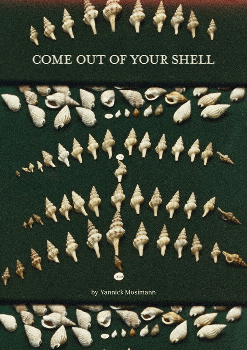 Come out of your shell