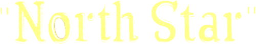 North Star logo