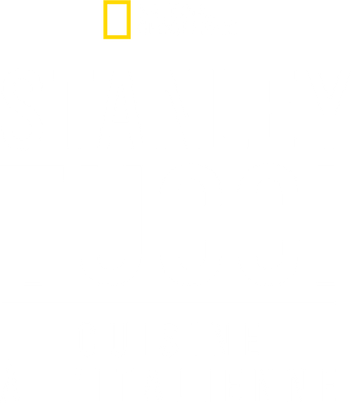 Stanley Tucci : Cuisine à l'italienne logo