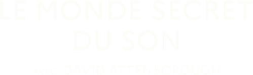 Le Monde secret du son avec David Attenborough logo