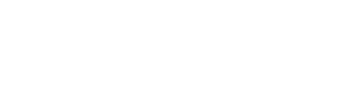 Half Nelson logo
