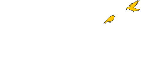 Platonique logo