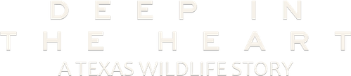Deep in the Heart: A Texas Wildlife Story logo