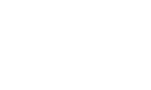 Webcast logo