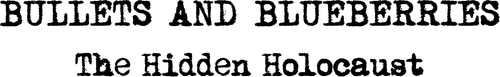 Bullets And Blueberries logo