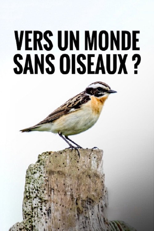 Vers un Monde Sans Oiseaux ?