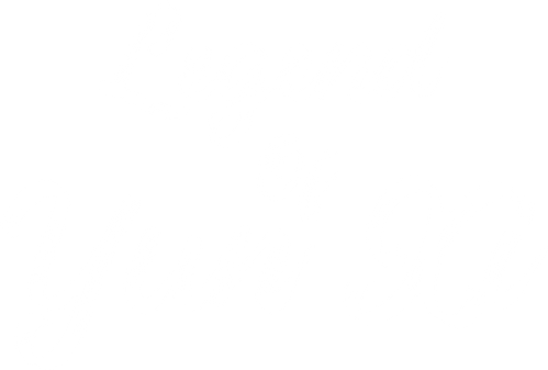 芸汐传 logo