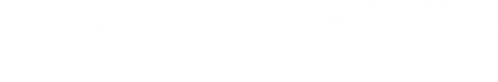 Beach Flip logo