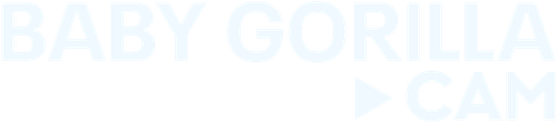 Baby Gorilla Cam logo