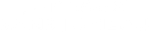 Twinless logo