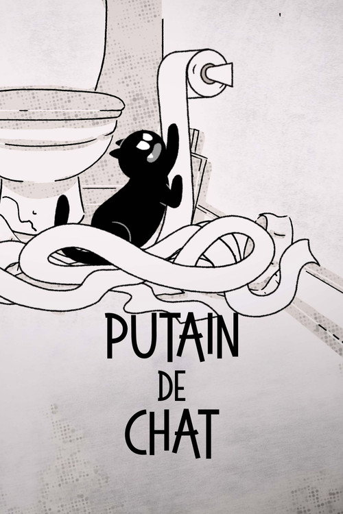 Putain de chat !