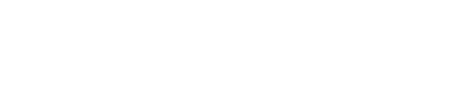 Calvin Harris - Live at Ultra Music Festival Miami 2024 logo