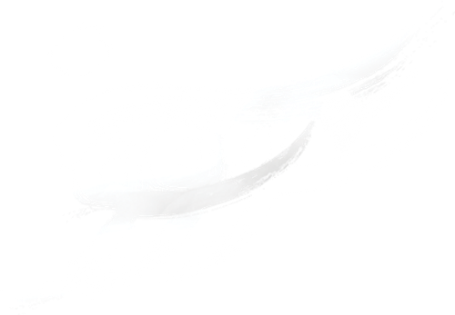 Savushun logo