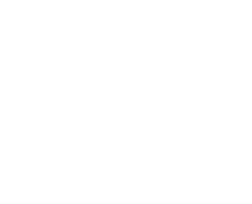 Boundless Life logo