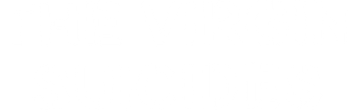 Virgin Suicides logo