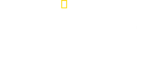 Au cœur de Disney's Animal Kingdom logo