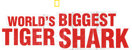 World's Biggest Tiger Shark logo