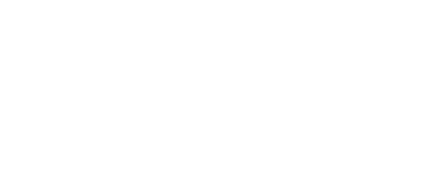 Vikings logo