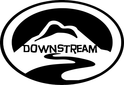 A Dreamer's Search logo