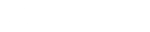 Cameron's Closet logo