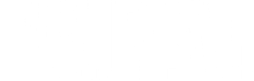 The Bureau logo