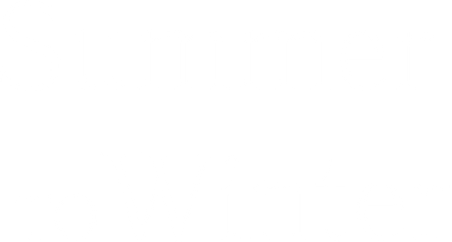 Summer to Winter logo