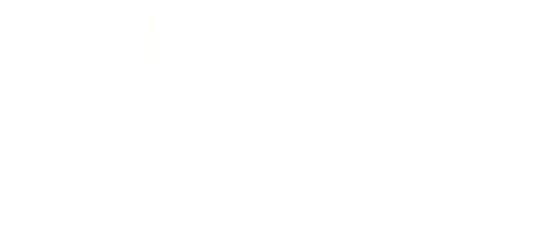 Secret of Treasure Mountain logo