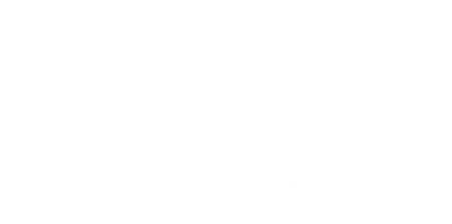 Port Protection Alaska logo