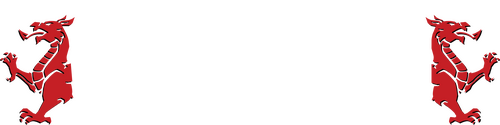 Welcome to Wrexham logo