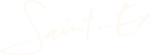 Saint-Ex logo