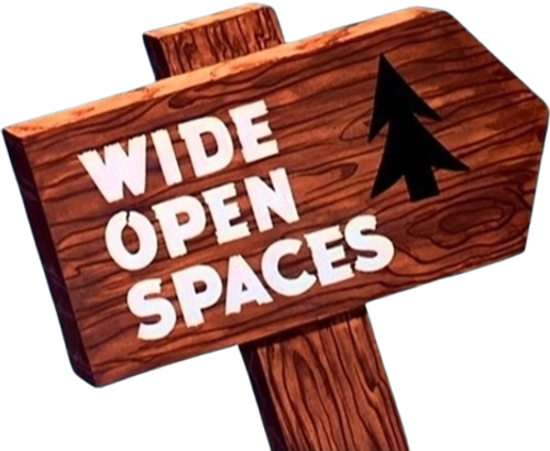 Wide Open Spaces logo