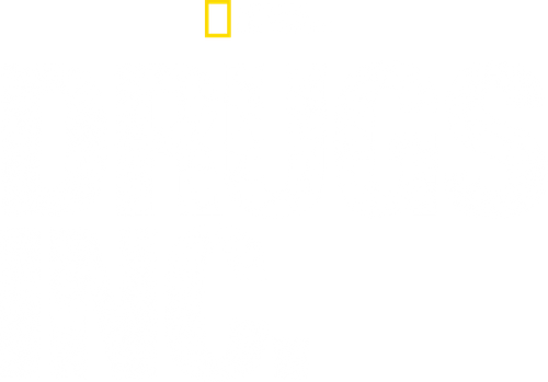 Drugs, Inc. logo