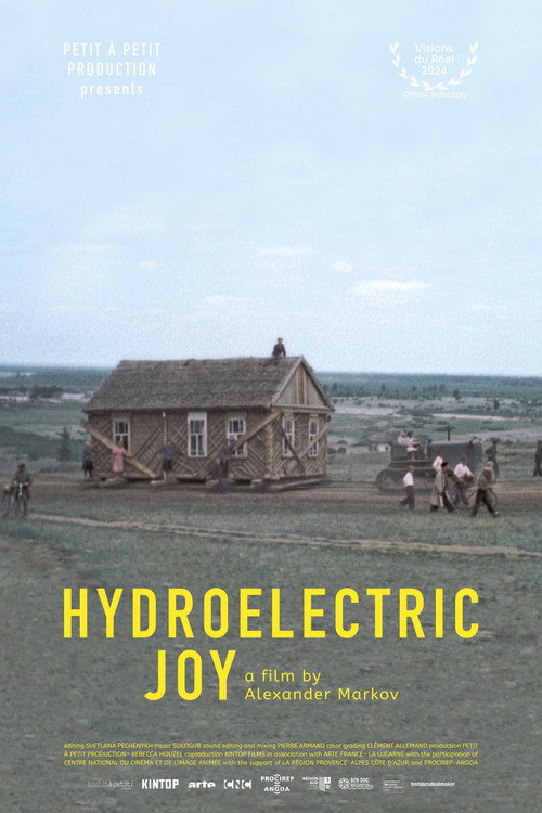 Hydroelectric Joy