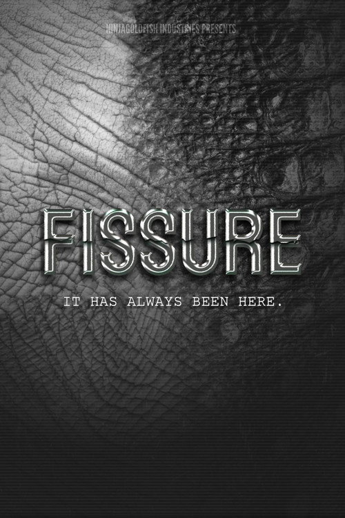 FISSURE