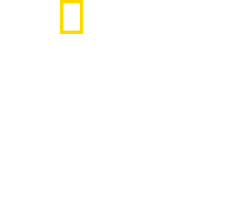 Dr. T, Lone Star Vet logo