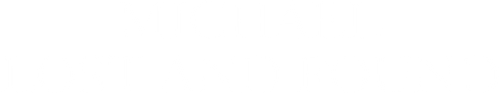Michael Lost and Found logo