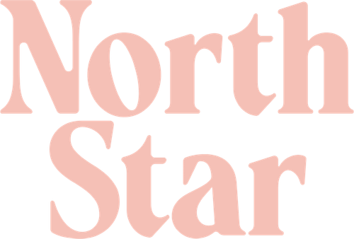 North Star logo