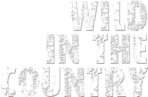 Wild in the Country logo