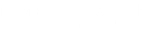 Demetri Martin: Demetri Deconstructed logo