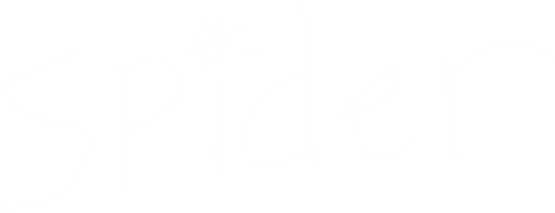 Spider logo