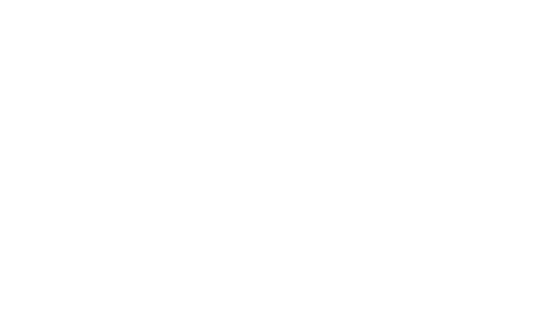 The Blind Shot logo