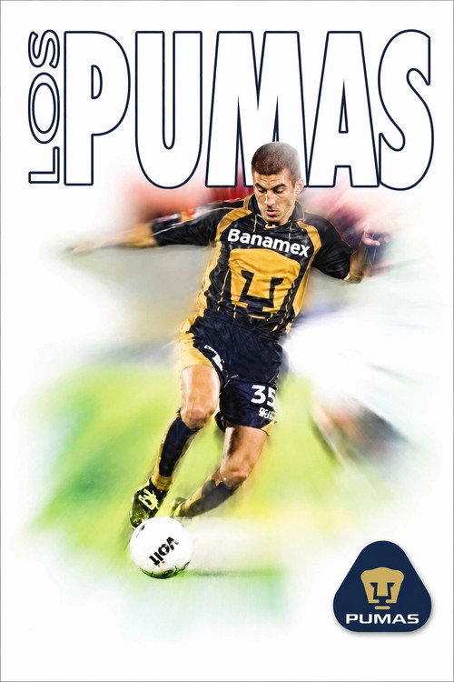 40 años de los Pumas