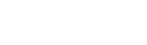 The Big Cigar logo