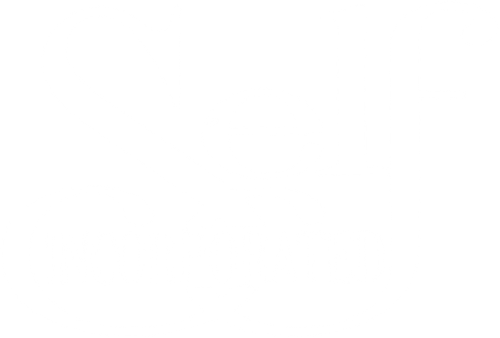 Self Incorporated logo