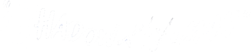Shadow of a Woman logo