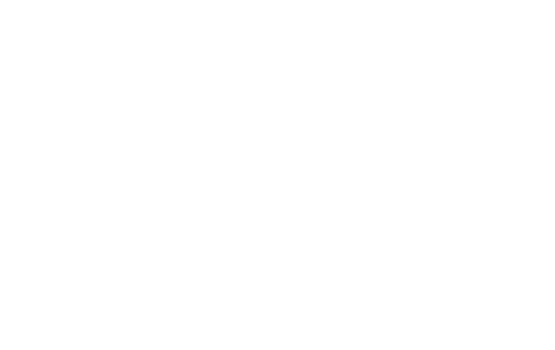 The Nanny logo