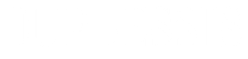 Duplessis logo