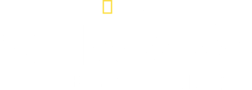 Sharks of the Bermuda Triangle logo