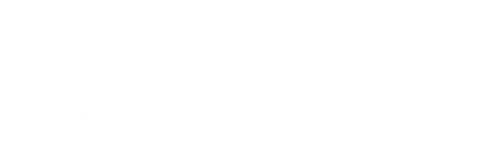 Rookie logo